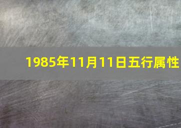 1985年11月11日五行属性