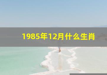 1985年12月什么生肖