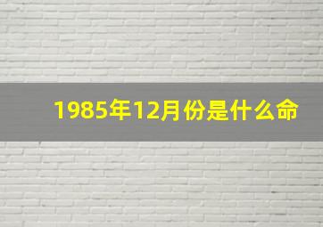 1985年12月份是什么命