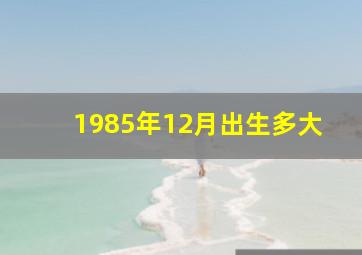 1985年12月出生多大