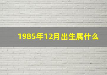 1985年12月出生属什么