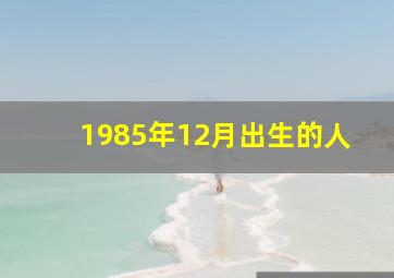 1985年12月出生的人