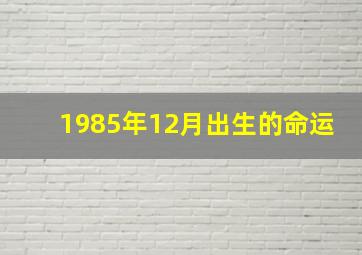 1985年12月出生的命运