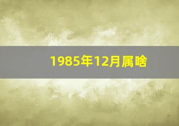 1985年12月属啥