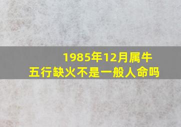 1985年12月属牛五行缺火不是一般人命吗