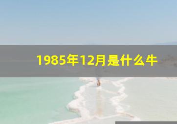 1985年12月是什么牛