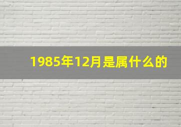 1985年12月是属什么的