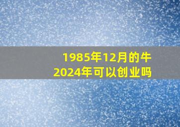 1985年12月的牛2024年可以创业吗