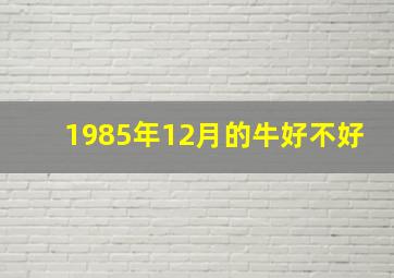 1985年12月的牛好不好