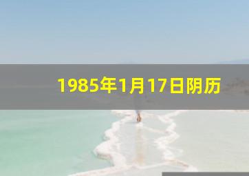 1985年1月17日阴历