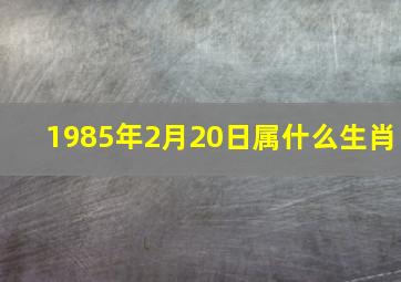 1985年2月20日属什么生肖