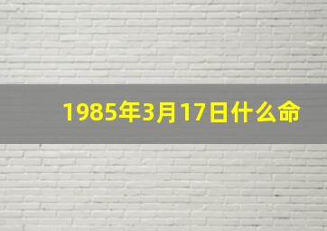 1985年3月17日什么命