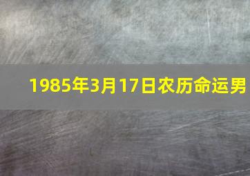 1985年3月17日农历命运男