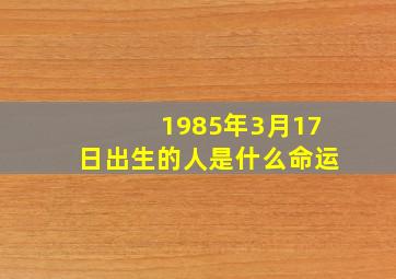 1985年3月17日出生的人是什么命运