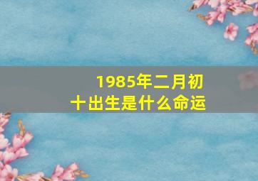 1985年二月初十出生是什么命运