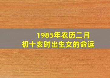 1985年农历二月初十亥时出生女的命运