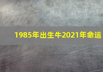 1985年出生牛2021年命运