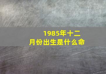 1985年十二月份出生是什么命