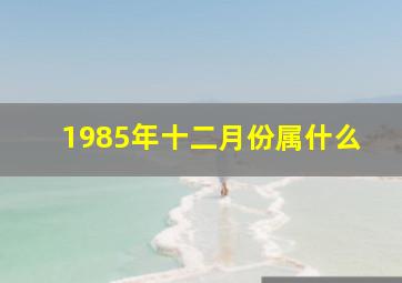 1985年十二月份属什么