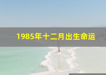 1985年十二月出生命运