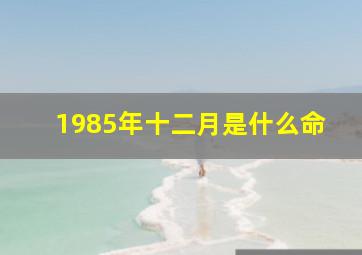 1985年十二月是什么命