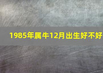 1985年属牛12月出生好不好