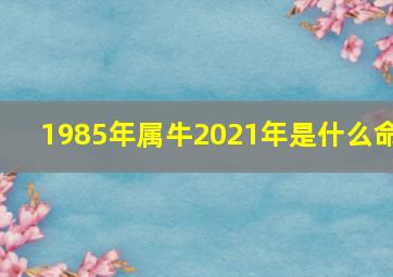 1985年属牛2021年是什么命