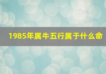 1985年属牛五行属于什么命