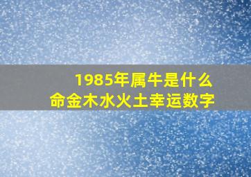 1985年属牛是什么命金木水火土幸运数字