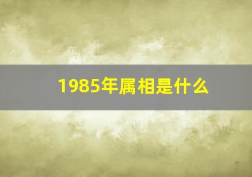 1985年属相是什么