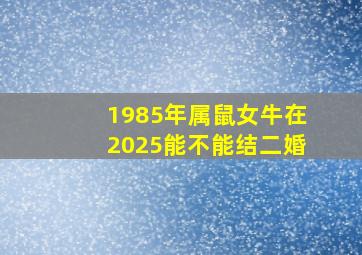 1985年属鼠女牛在2025能不能结二婚