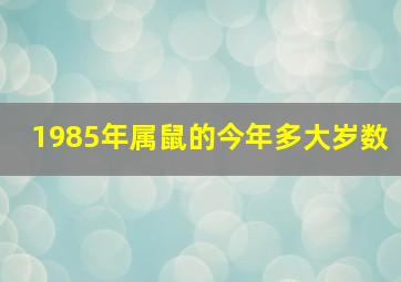 1985年属鼠的今年多大岁数