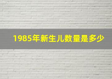 1985年新生儿数量是多少