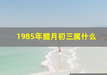 1985年腊月初三属什么