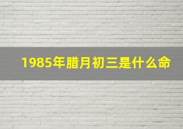 1985年腊月初三是什么命