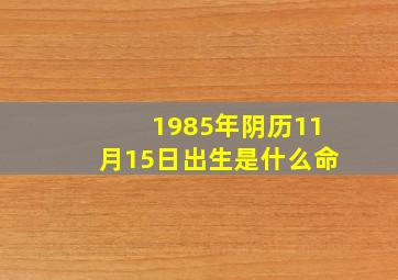 1985年阴历11月15日出生是什么命