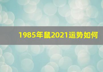 1985年鼠2021运势如何