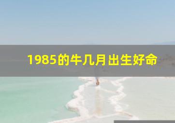 1985的牛几月出生好命