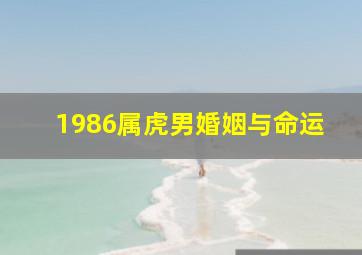 1986属虎男婚姻与命运