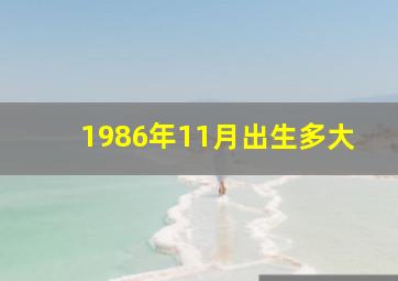 1986年11月出生多大