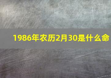 1986年农历2月30是什么命