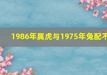 1986年属虎与1975年兔配不