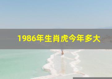 1986年生肖虎今年多大