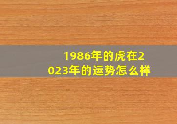 1986年的虎在2023年的运势怎么样