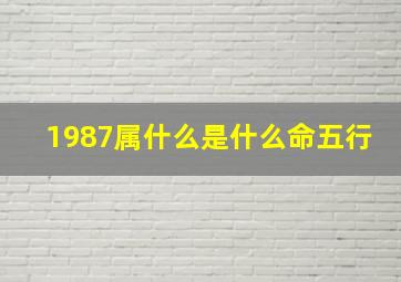 1987属什么是什么命五行