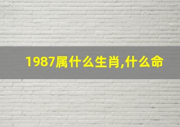 1987属什么生肖,什么命