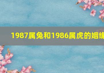 1987属兔和1986属虎的姻缘