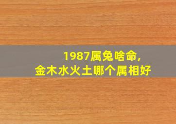 1987属兔啥命,金木水火土哪个属相好