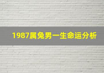 1987属兔男一生命运分析