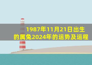 1987年11月21日出生的属兔2024年的运势及运程